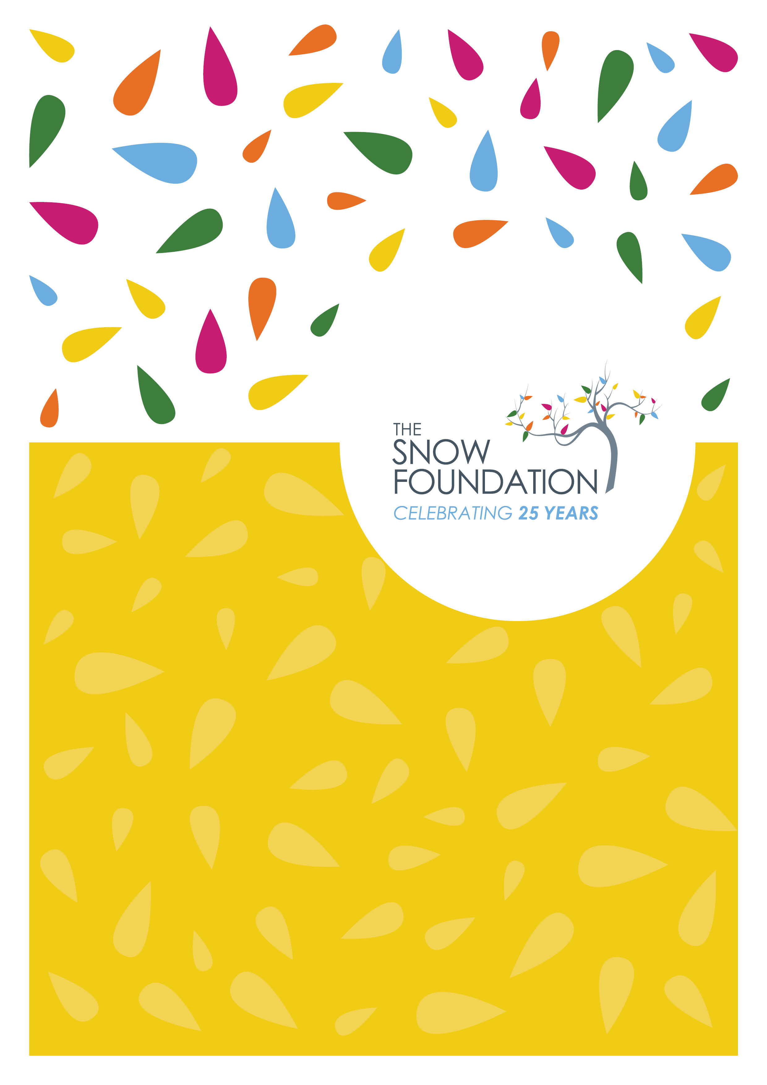 The Snow Foundation Celebrating 25 Years Cover