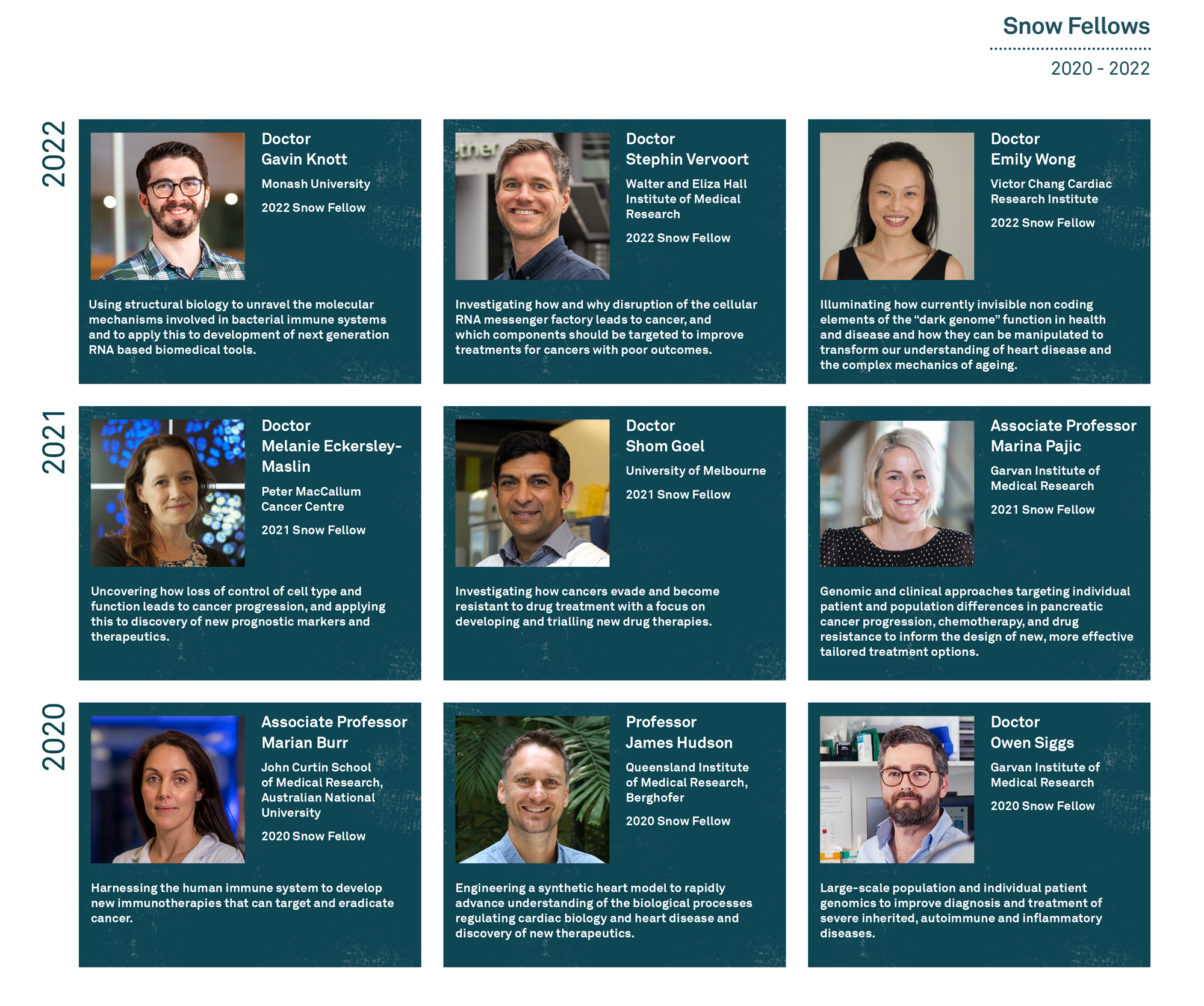 Snow Fellows 2020 - 2022